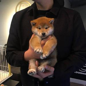 好男人资源在线影院免费观看
